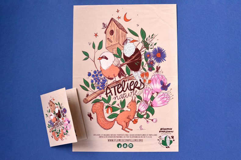 Identité visuelle et illustrations pour Plumes et Papillons